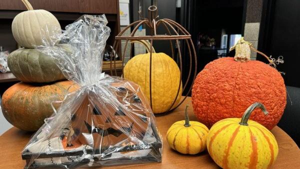 variety of real and decorative pumpkins on a table